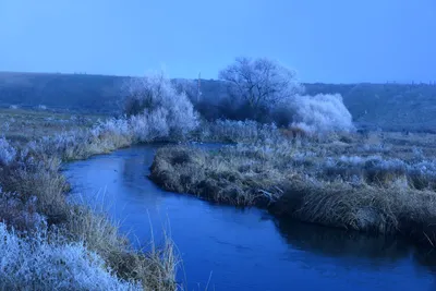 DSC_0993 (Large).JPG